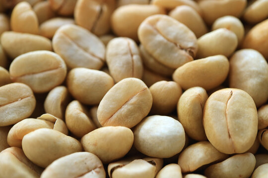 Parchment Coffee